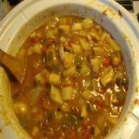 new mexico green chili crock pot stew_image