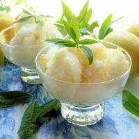 Lemon Verbena Ice Cream from a French Country Herb Garden_image