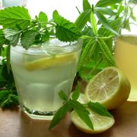Old Fashioned Lemon Balm and Lemon Verbena Lemonade Syrup image