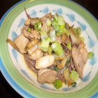 Savory Chicken With Asian Noodles_image