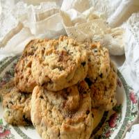 Lacemaker's Cattern Cakes - English Spiced Sugar Cookies image