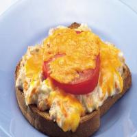 Tuna and Veggie Melts_image