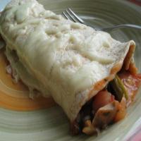 Monterey Cheese and Chicken Tortillas_image