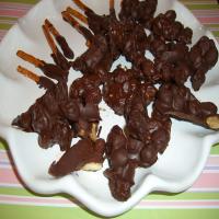Chocolate Covered Raisins_image