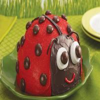 Ladybug Cake_image