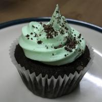 Mint Chocolate Cupcakes_image