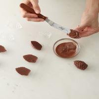 Milk-Chocolate Pine Cones_image