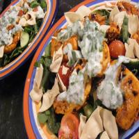 Warm Tandoori Chicken Salad (21 Day Wonder Diet: Day 4)_image