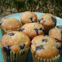 Blueberry Banana Snack Cakes_image