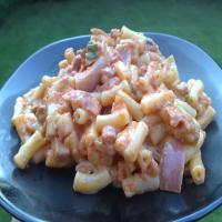 Macaroni With Creamy Sun-Dried Tomato and Pancetta Sauce_image