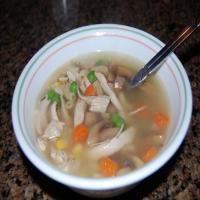 Turkey Soup With Egg Noodles and Vegetables_image