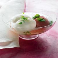 Sparkling Sorbet Floats_image