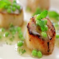 Caramelized Scallops with Fresh Green Pea Vinaigrette_image