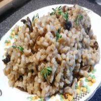 Wild Mushroom and Barley Pilaf_image