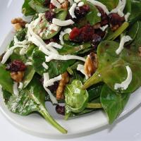 Simple Cranberry Spinach Salad_image