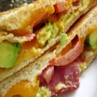 Grilled Cheddar, Bacon, and Avocado Sandwiches image