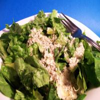 Ninja Creamy Italian Dressing_image