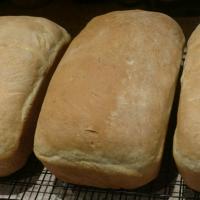 Fresh Yeast Bread_image
