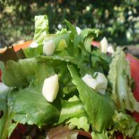 Classic French Green Salad_image