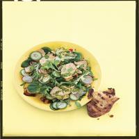 Grilled Chicken Salad with Radishes, Cucumbers, and Tarragon Pesto_image