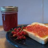 Red Currant Jelly_image