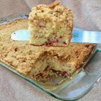 Cranberry Sour Cream Coffee Cake with Pecan Crumb Topping image