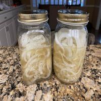 Pickled Vidalia Onions_image