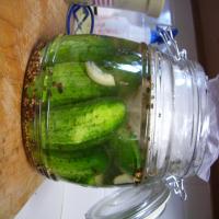 East Side New York Half-Sour Pickles image