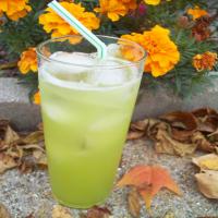 Melon Spritzer_image