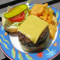 The Best Grilled Hamburgers_image
