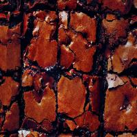Molten Chocolate Chunk Brownies_image