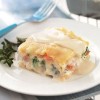 vegetarian-lasagna-alfredo-recipe-how-to-make-it image