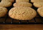 soft-ginger-cookies-recipe-foodcom image