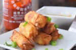 19-asian-appetizers-for-your-next-party-the-spruce-eats image