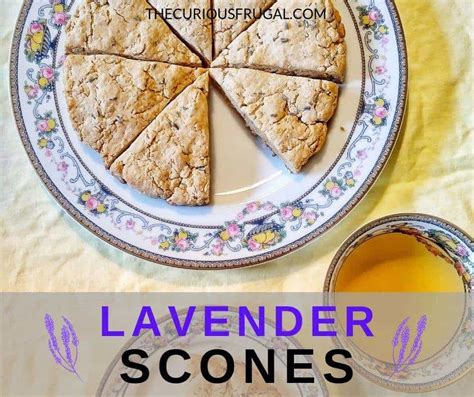 lavender-scones-eating-food-from-our-tiny-backyard image