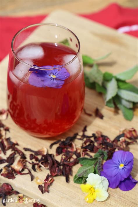 delicious-and-natural-hibiscus-iced-tea-garden-therapy image