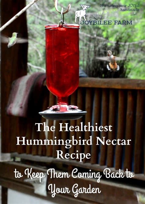 the-healthiest-hummingbird-nectar image