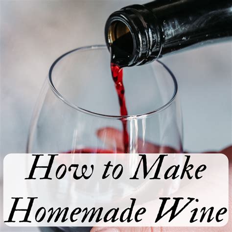 how-to-make-easy-homemade-wine-red-or-white image