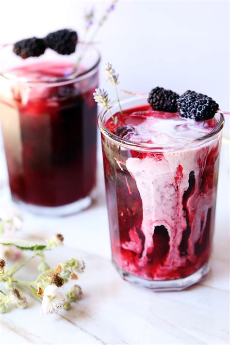 iced-blackberry-infused-earl-grey-tea-recipe-sofabfood image