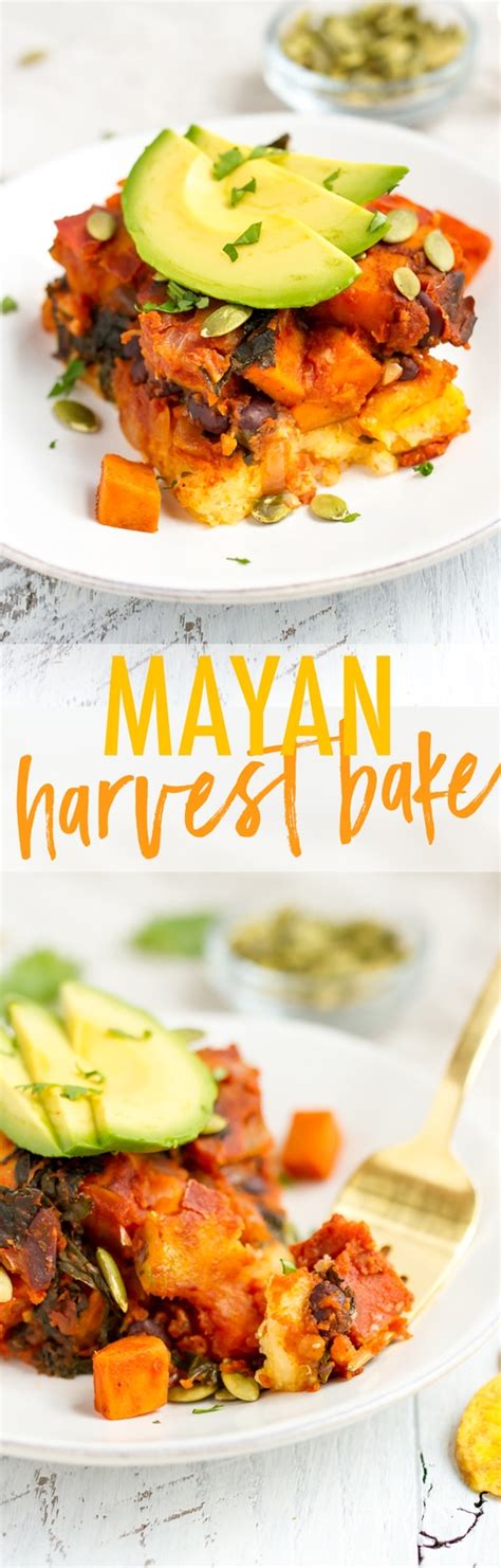 mayan-harvest-bake-eating-bird-food image