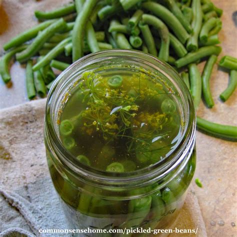 pickled-green-beans-quick-and-easy-canning image