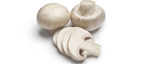 italian-mushrooms-gourmet-italian-food-store image