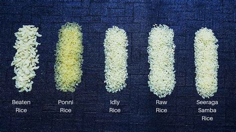 9-most-popular-types-of-rice-in-india-a-complete-guide image