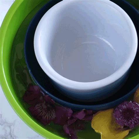 how-to-make-a-fancy-serving-ice-bowl-with-flowers image