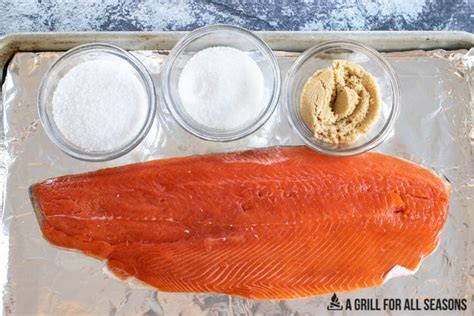 traeger-smoked-salmon-easy-dry-brined-salmon-a image