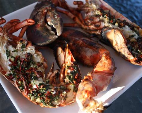 grilled-lobsters-with-italian-style-stuffing image