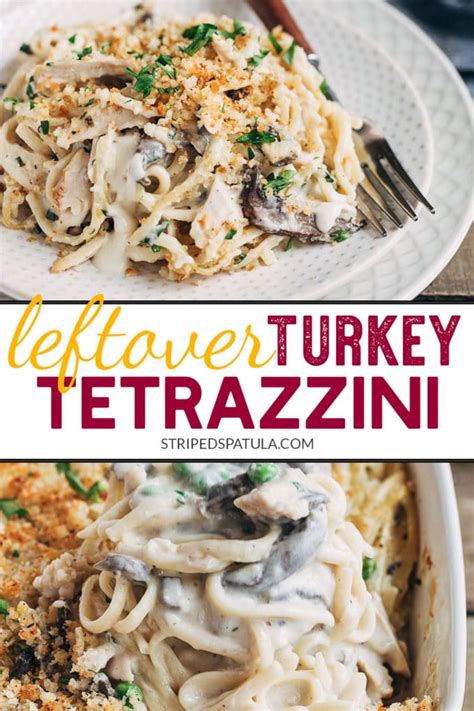 turkey-tetrazzini-striped-spatula image