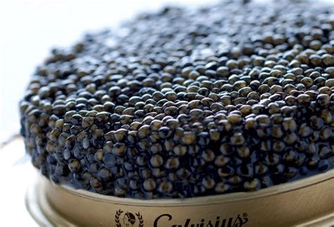 how-to-serve-and-eat-caviar-the-definitive-guide-eataly image
