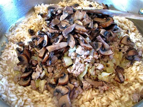 italian-sausage-and-mushroom-risotto image
