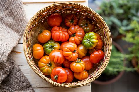 5-most-popular-italian-tomatoes-tasteatlas image